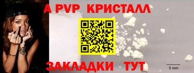 прущие грибы Краснознаменск