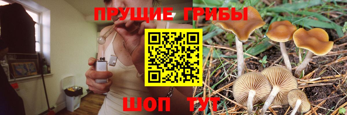 Галлюциногенные грибы MAGIC MUSHROOMS Кашира